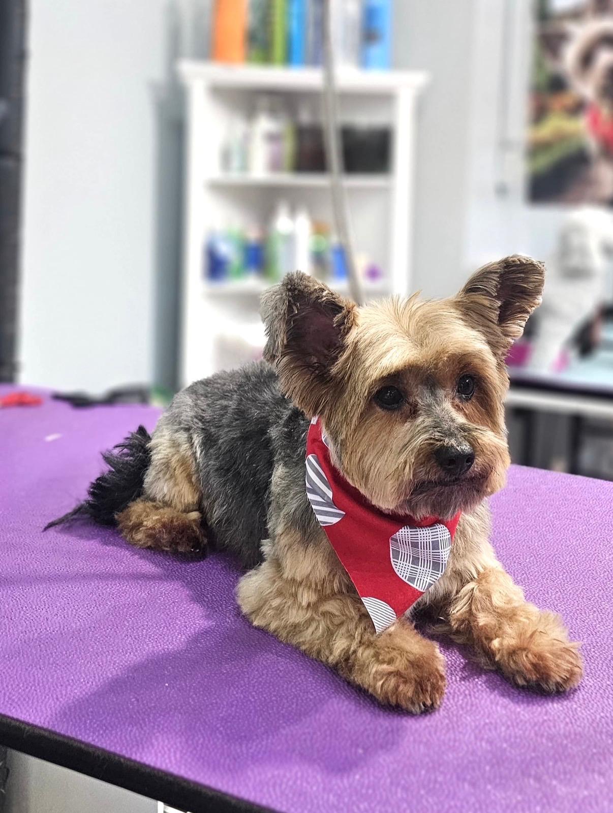 Handsome, fresh, and ready to shine after spa day!
