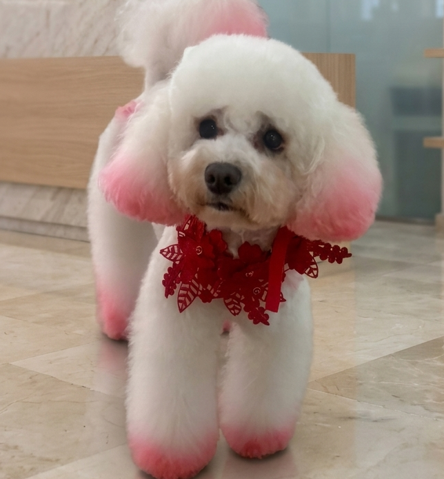 Total glamour with a fabulous touch of pink to steal the show!